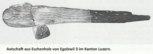 Steinbeil in einem massiven Holzgriff befestigt. Originalfund aus der Jundsteinzeit.